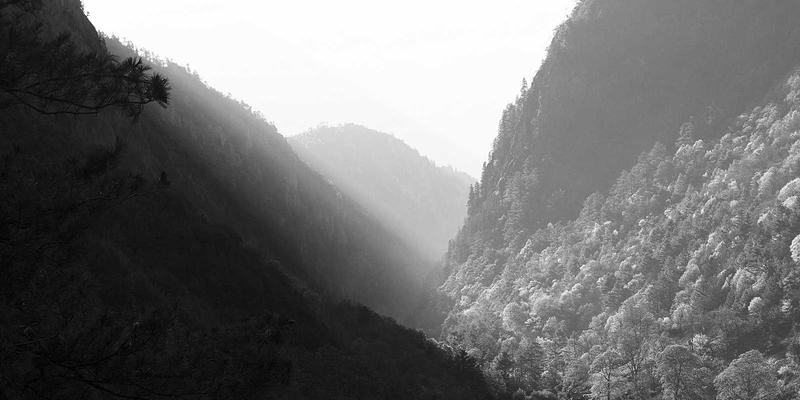 同志时尚杂志如何塑造审美与身份认同：从社区故事到文化评论的深度解析