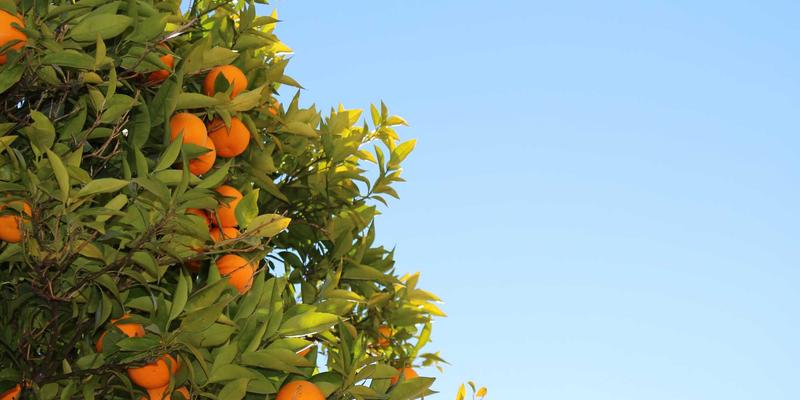 同志杂志13：一部流动的同性文化史与时代镜像