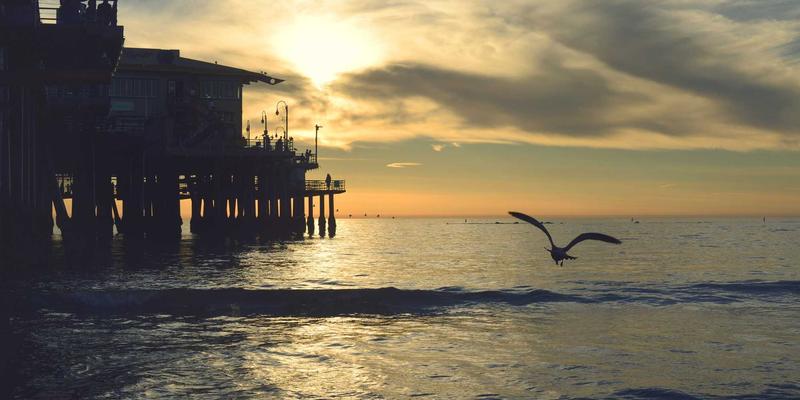 同志杂志41：一部流动的LGBTQ+文化档案与社区叙事