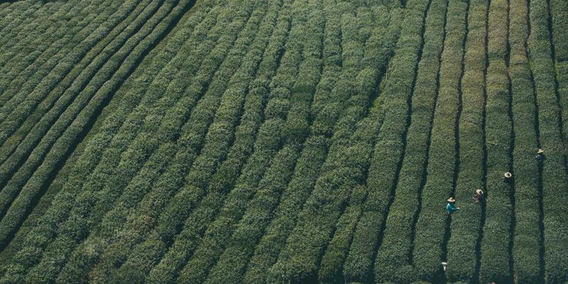 同志杂志49：一部记录中国LGBTQ+社群发展的文化切片