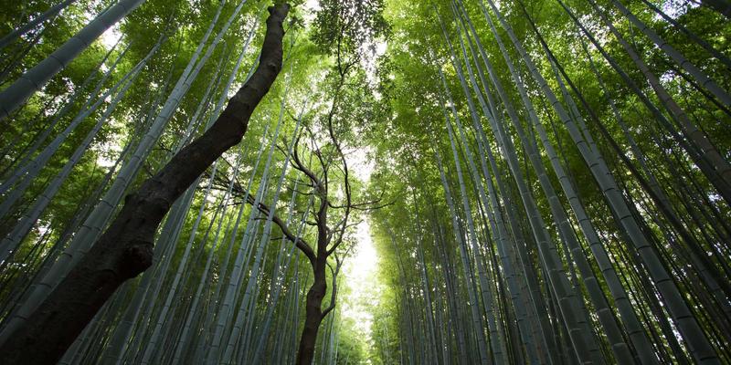 同志杂志55:一部行走的同性文化编年史与思想镜像