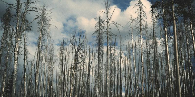 同志杂志与体育文化：打破恐同壁垒，记录LGBTQ+运动员的媒体形象建构