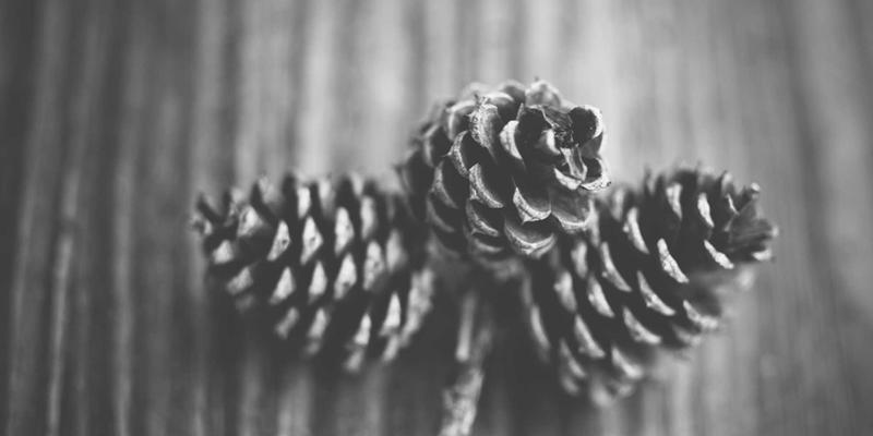 同志杂志与广告营销：品牌如何通过LGBTQ+媒体进行社群沟通与市场开拓