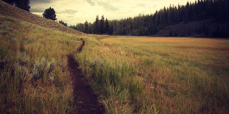 同志杂志中的旅行与生活方式：探索全球LGBTQ+友好目的地与社群网络