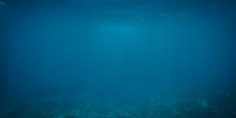 同志杂志的历史档案价值：记录LGBTQ+运动与社会变迁的文献意义