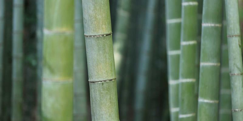 同志杂志的审查与抗争：一部全球LGBTQ+出版自由与艺术表达的斗争史