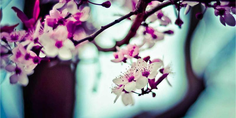 同志杂志的数字化转型：从纸本到付费墙，探索LGBTQ+媒体的可持续商业模式