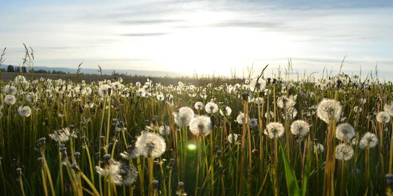 同志杂志的文化评论与社会资讯价值：社区故事如何成为酷儿群体的心理健康支持平台