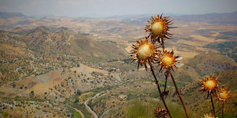 同志杂志的档案价值：记录LGBTQ+社群故事、艺术与历史的文献宝库