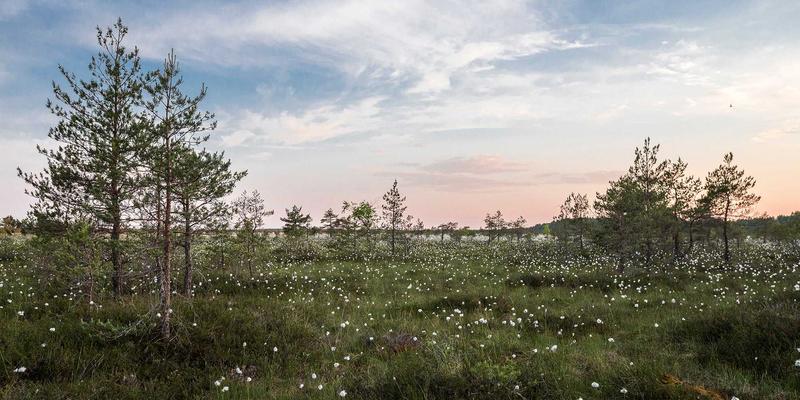 同志艺术中的视觉叙事：摄影如何通过影像传递身份、情感与社会现实